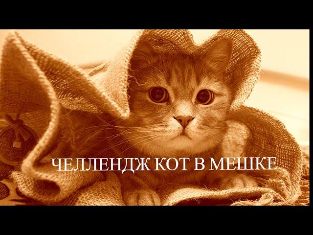 ЧЕЛЛЕНДЖ КОТ В МЕШКЕ! ДУМАЛА ЧТО НЕ СПРАВЛЮСЬ С ЗАДАНИЯМИ