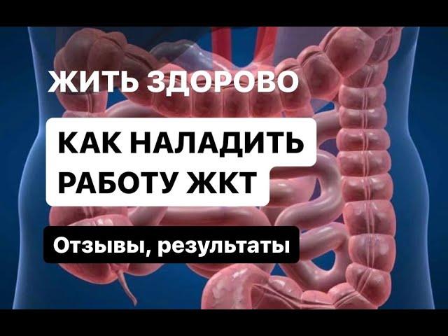 Здоровье ЖКТ как ОСНОВА