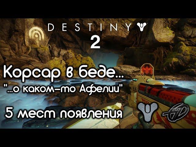 Корсар в беде...о каком-то Афелии • 5 мест • Destiny 2