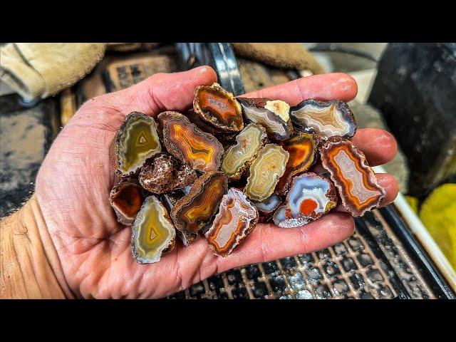 Cutting these African Agates NEVER disappoints! Banded & Colorful Gems