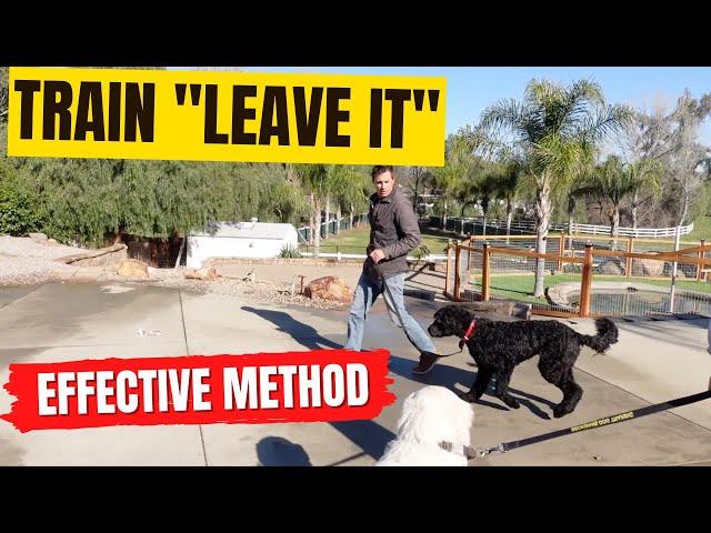 How to train "leave it"