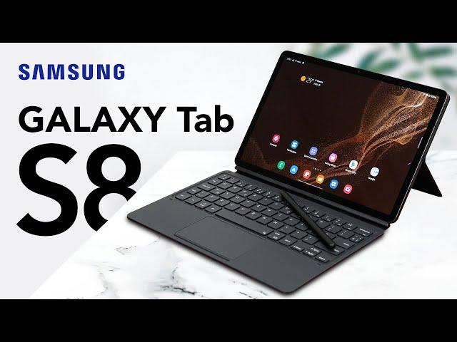 Идеальный планшет с изъяном. Обзор Samsung Galaxy Tab S8