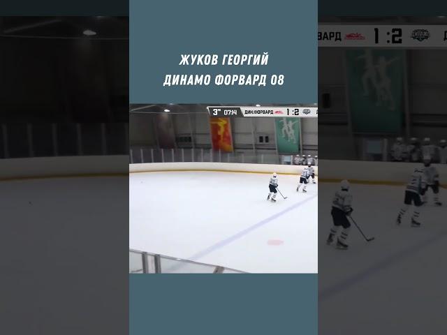 Фейл года #shorts #videotandem #hockey #nhl #khl #хоккей #dynamo #sports #video #спорт #kids #spb