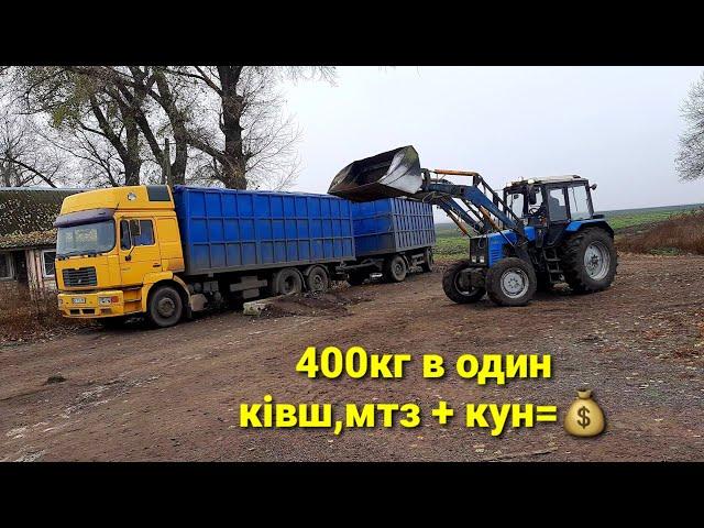 Грузимо Соняшник за Борги 12600тонаМаніту не треба