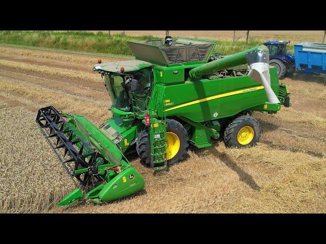 Tarwe Dorsen | Wheat Harvest | Weizen Dreschen  | John Deere | New Holland | Vaia | Graanoogst 2024