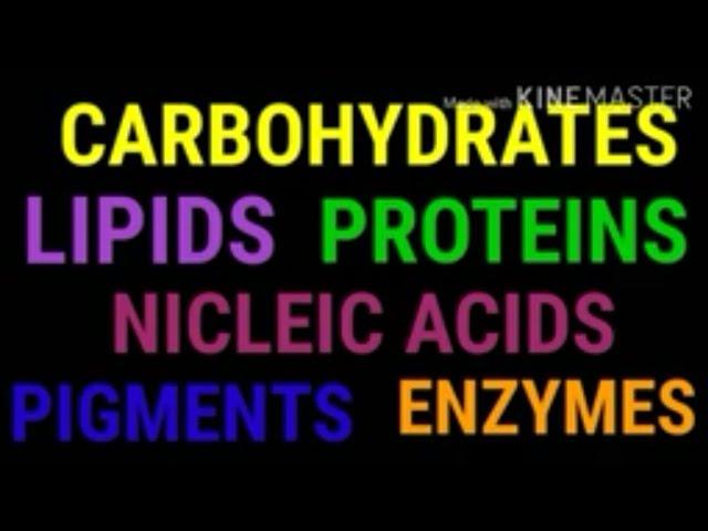 Nutritional biochemistry part 1