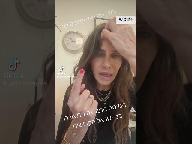 משיח בן דויד 9.10.24