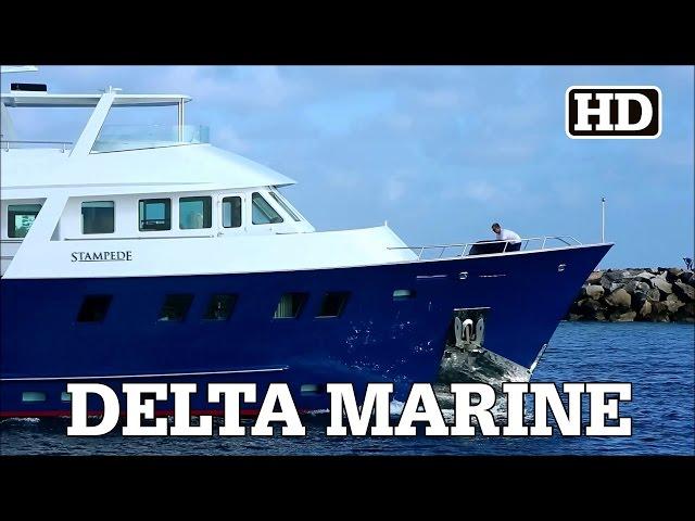 Delta Marine Explorer Yacht | STAMPEDE