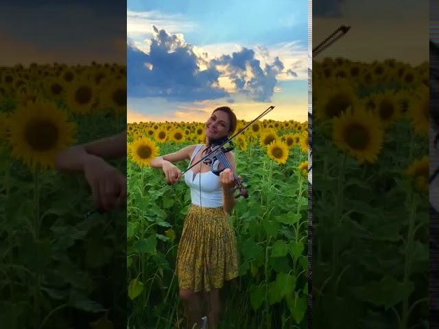 Sunflowers Подсолнухи