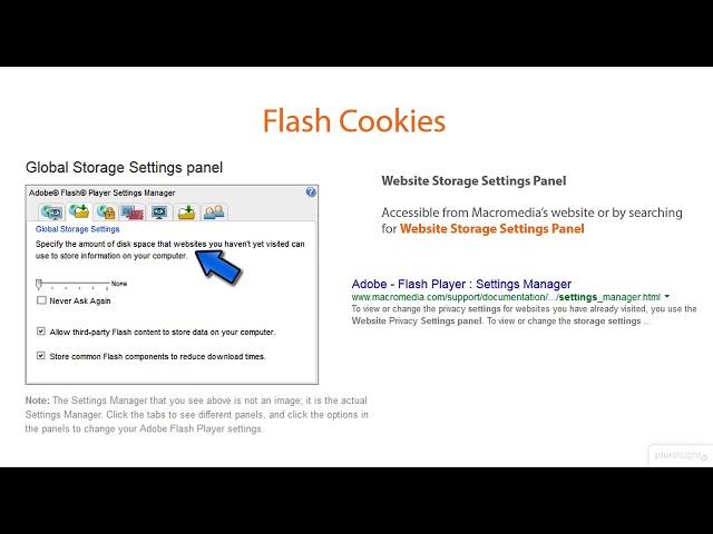 064  Flash Cookies