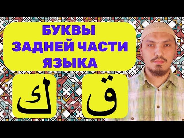 МАХРАДЖ КОФ (ق), КЯФ (ك) | БУКВЫ ЗАДНЕЙ ЧАСТИ ЯЗЫКА