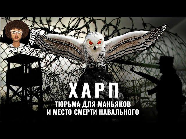 Тюрьма, из которой не выходят: «Полярная сова» | Где сидят маньяки и как отбывают пожизненный срок