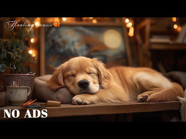 12 Hours Of Dog MusicCalming Music for Dog Deep SleepSeparation Anxiety Music for Dog Relaxation