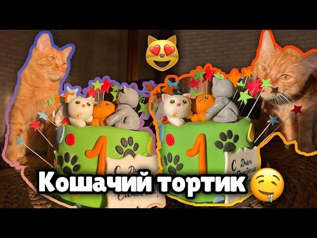 День рождения Симбочки Младшего! feat. Yolo House