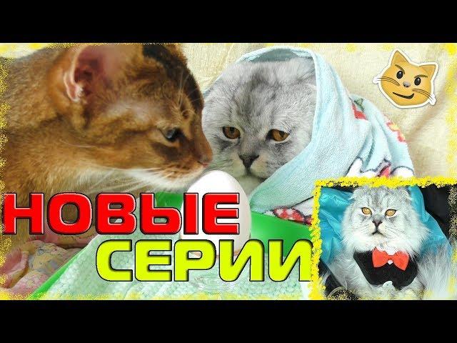 КЕВА ИДЁТ НА РАБОТУ! НОВЫЙ СЕРЬЁЗНЫЙ КЕВИН!