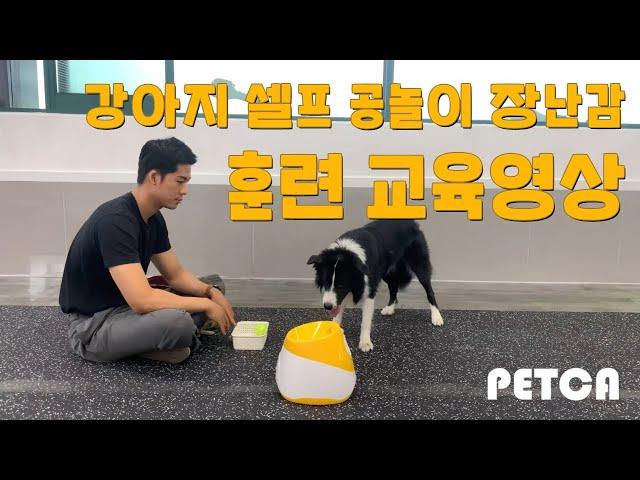 PETCA 공놀이 기계 교육 영상