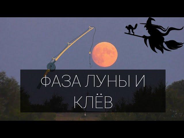 ФАЗА ЛУНЫ И КЛЁВ РЫБЫ из личных наблюдений.