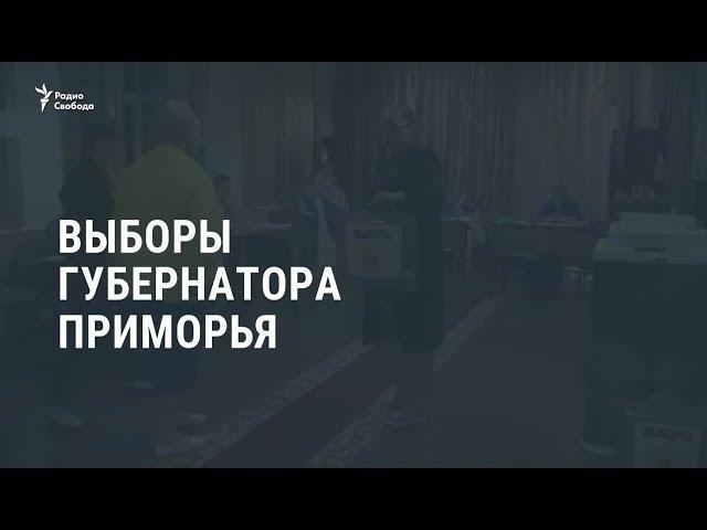 Выборы губернатора Приморья / Новости