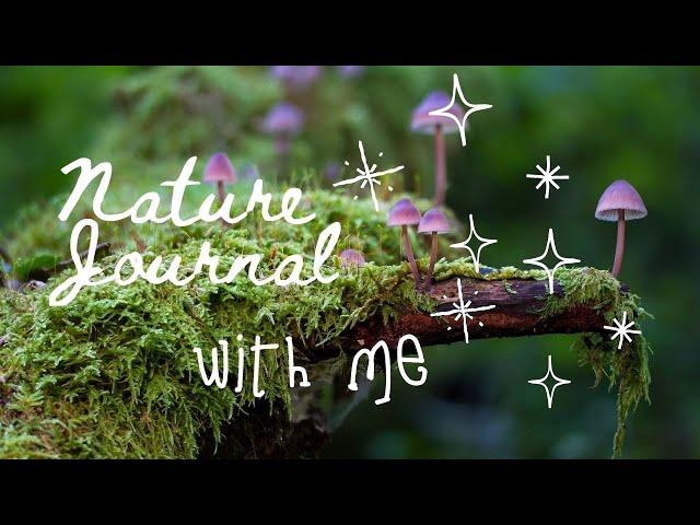 Nature Journal With Me  | First Journal Spread In My New Journal Part 2