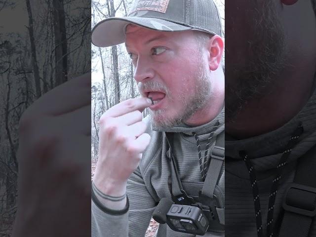 Would you eat this? #shorts #viral #hunting #camping #cooking