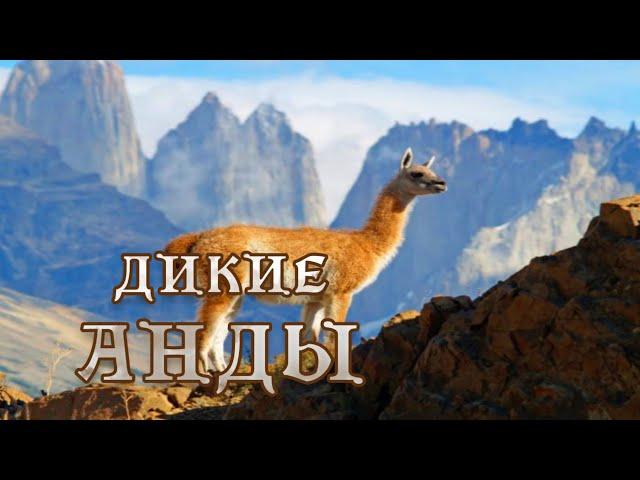 Дикие Анды - Суровый мир Патагонии.(3) #Документальный фильм 4K 12+