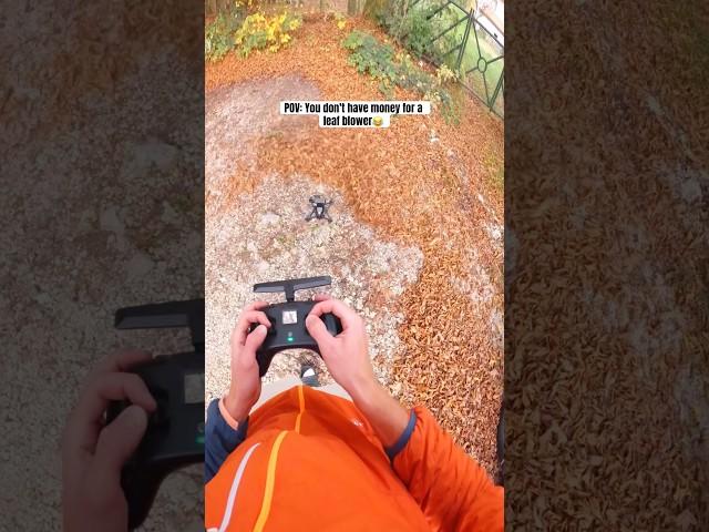 I USE my FPV Drone as a LEAF BLOWER