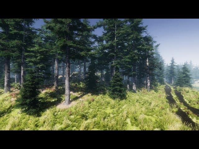 Advanced Environment - Unity Engine