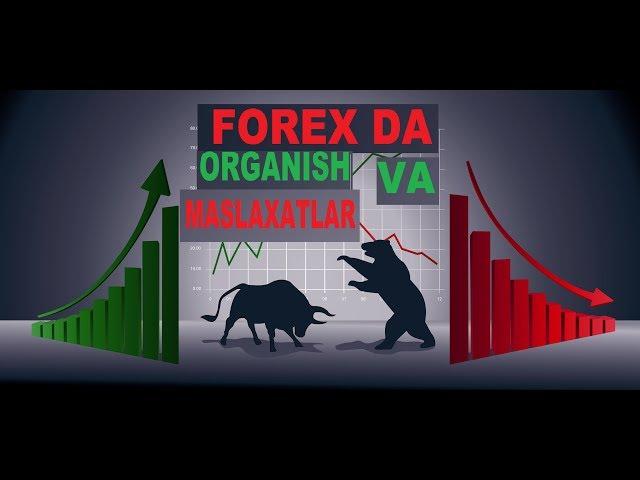 FOREXNI ORGANISH VA MASLAXATLAR  (internetda pul ishlash  )