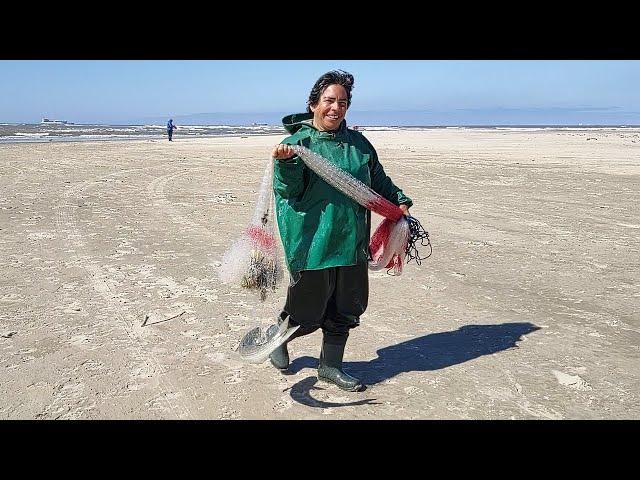 Pescas de tarrafas, 02-09-24, Barra de Tramandaí, RS. #pescadetarrafa #pescadetainha #mulletfishing