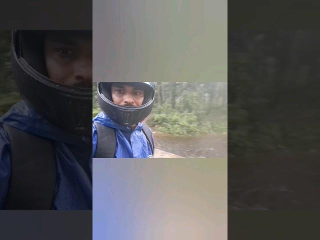 Rainy day adventure on jungle road #northbengal #relaxingsounds #wildlife #naturestherapy #nature