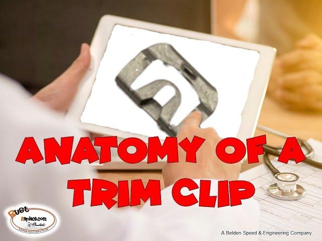 Automotive Window Trim Clips Demystified