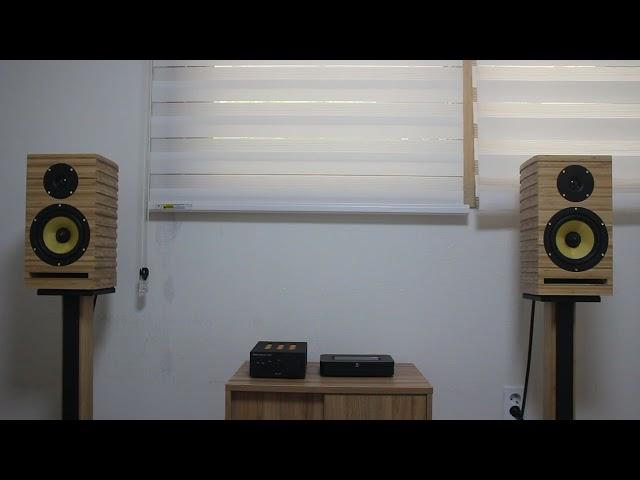 A1Audio P&M System Time say goobye