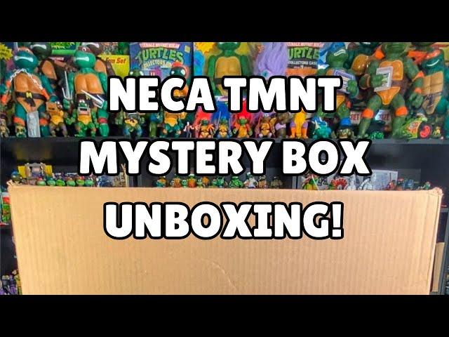 Was it worth it? NECA TMNT Black Friday Mystery Box!