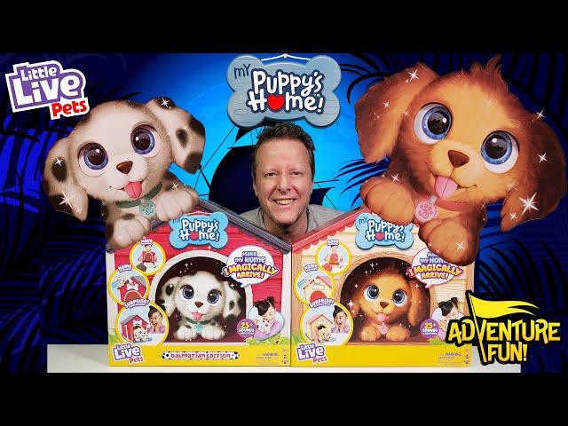 4 Little Live Pets My Puppy’s Home! Build Home & Puppy Magically Arrives Adventure Fun Toy review!