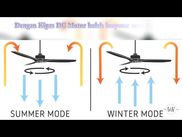 DC Motor Ceiling Fan (Alpha/Rezo/Ecoluxe/Deka) BEST VALUE FOR MONEY