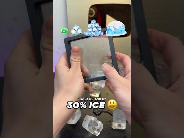 ICE EVOLUTION 