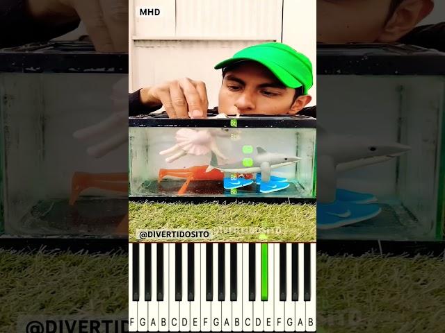 I FOUND SOME FAMOUS BRAINROT ANIMALS IN REAL LIFE @divertidosito - Piano Tutorial