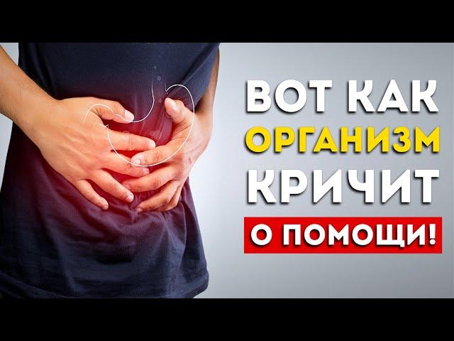 Болит живот? Вот как быстро узнать причину (Это пригодится)