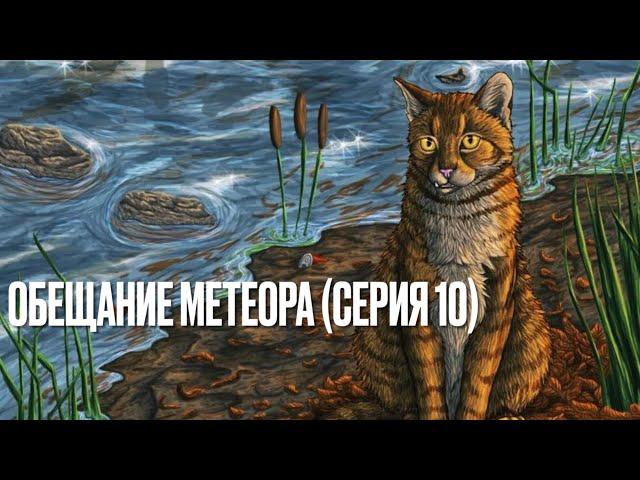 Аудиокнига КОТЫ-ВОИТЕЛИ« Обещание Метеора»(«Прозрение»). Серия 10