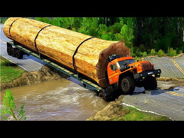 What happened? When a driver loaded with large logs crossed a cut off road | Spinteres Mudrunner