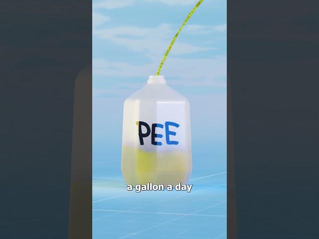 Filling The Grand Canyon With Pee 