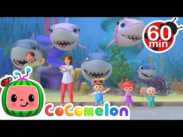 Baby Shark With CoComelon | Kids Song | Nursery Rhymes | Spooky Halloween Stories For Kids