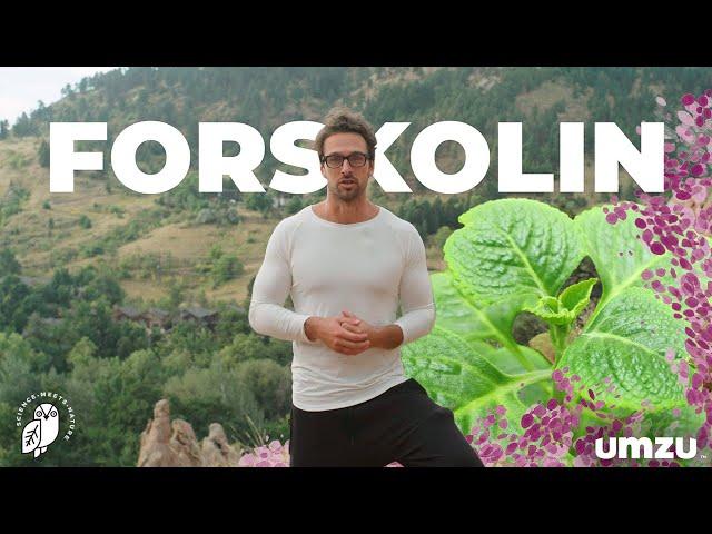 Forskolin Benefits As A Potent Thyroid Support Supplement