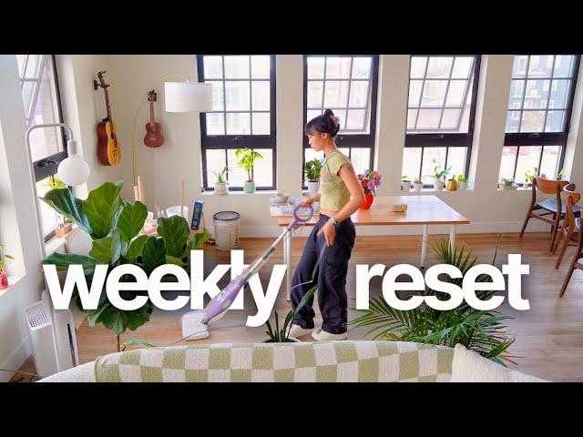 Self-Employed Artist Diaries  Life Updates, Apartment Deep Cleaning, Decorating, New Monitor!