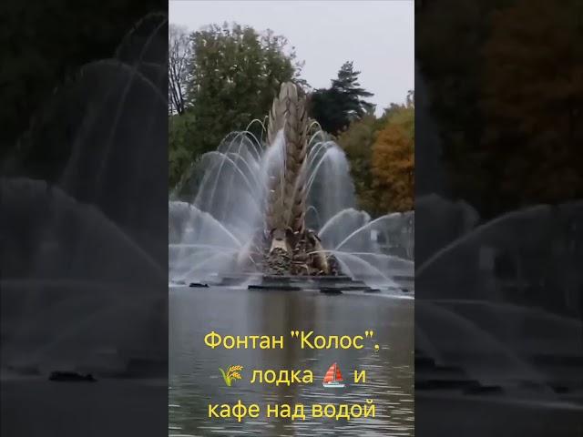 Фонтан "Колос", кафе над водой, лодка. #фонтанколос #пруд #лодка #кафенадводой #вднх