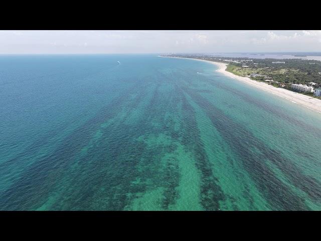 Vero Beach shipwreck