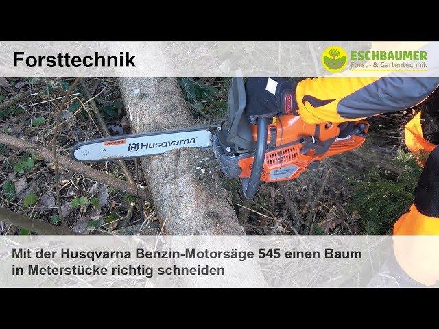 Mit der Husqvarna Profi Leichtstart Benzin-Motorsäge 545 Mark 2 einen Baum in Meterstücke schneiden