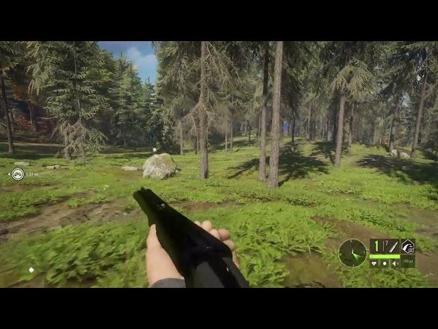 theHunter: Call of the Wild .470 FULL METAL JACKET vs wild boar