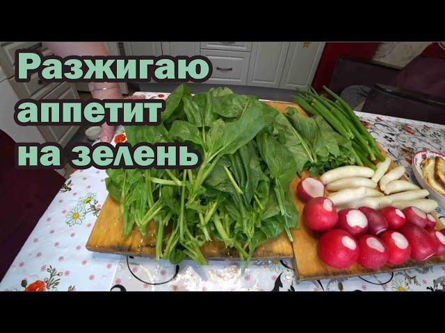 Первая зелень на нашем столе