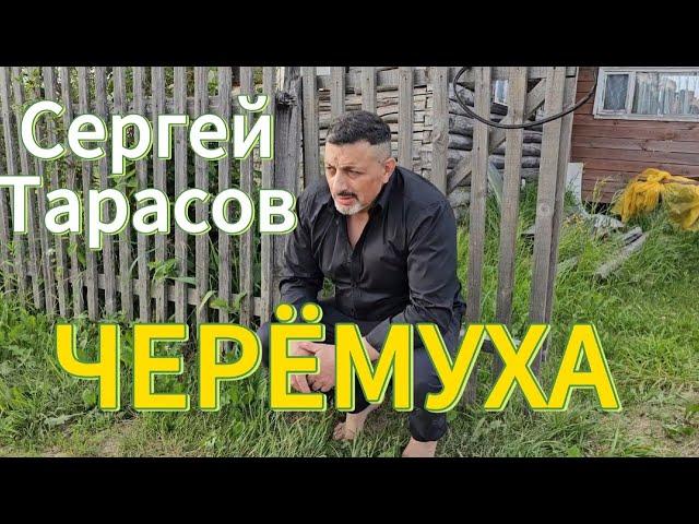 РУССКИЙ ШАНСОН "ЧЕРЁМУХА" - СЕРГЕЙ ТАРАСОВ. ГРУСТНАЯ ПЕСНЯ О ЖИЗНИ. РОССИЙСКАЯ ЭСТРАДА. ЛУЧШИЕ ПЕСНИ